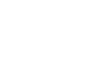 Lion Electric